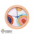 Decor: Mini Brands Analog Wall Clock