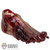 Limb: Asmus Toys Zombie Foot (ASL0171)