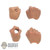 Hands: Coo Models Mens Hand Set (COL0527)