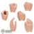 Hands: Coo Models Mens Hand Set (COL0709)