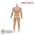 Figure: DamToys 1/12th Nude Base Body w/Pegs (DML3021)
