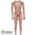Figure: Facepool Mens Body w/ Seamless Forearms (FPFL0366)
