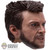 Head: Hot Toys Wolverine (HT6700)