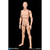 Boxed Figure: DiD All New Advanced Body (Slim Ver.) (OA60002) (READ NOTES)