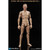 Boxed Figure: DiD WWII German WH Infantry Unteroffizier  Freid (D80157)