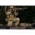 Boxed Figure: DamToys Operation Red Wings NAVY SEALS SDV TEAM 1 Sniper (DAM-78085)