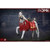 PREORDER Boxed Figure: HY Toys Julius Caesar War Horse (HY-HH18027)
