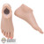 Feet: TBLeague Tan Female Flat Feet w/ Pink Nail Polish
