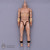Figure: Hot Toys James Bond Male Nude Body