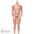 Figure: Soldier Story Male Nude Body