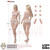 TBLeague 1/12 Medium Breast Pale Seamless (TB-DD01XSH) - Preorder Deposit