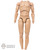 Figure: Ujindou Shorter Male Nude Body