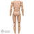 Figure: Facepool Male Base Body