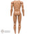 Figure: Ujindou Male Nude Figure w/ Pegs