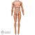 Figure: DiD Male Tall Base Body w/ Pegs