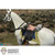 DiD U.S. Civil War - Robert Edward Lee & War Horse - Preorder Deposit