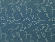 Quilting Cotton Constellations 