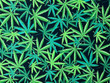 Quilting Cotton Cannabis on Black