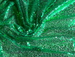 Embroidery Sequins Kelly Green