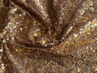 Embroidery Sequins Gold