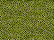 Green Dots Quilting Cotton on Black