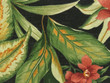 Printed Outdoor Floral on Black