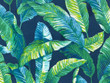 Printed Outdoor Leaves on Navy