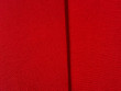 Cotton Canvas Crimson Red