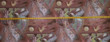 10 Yards of Cotton Drapery 99D