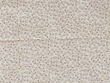 Daisy Flower Quilting Cotton on Off White