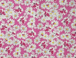 Floral Quilting Cotton on Pink