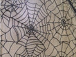 Halloween Black Spider net