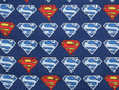 Flannel Superman Disney
