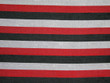 Striped Silk Dupioni
