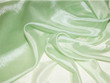 Organza Fabric Apple Green