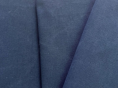 Stonewash Canvas Insignia Blue