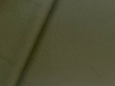 20 Yards of Melton Wool Green C