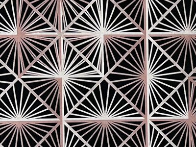 10 Yards of Poly Cotton Sheeting Geometric On Black