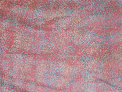 10 Yards of Cotton Drapery 101D