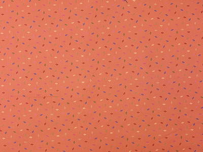 10 Yards of Geometric Quilting Cotton on Rust G
