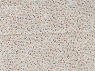 Daisy Flower Quilting Cotton on Off White
