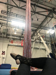 aerial fabric 90” width 