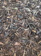 Decorative Bark Chippings - Bulk Bag