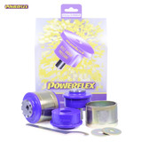 Powerflex Front Lower Radius Arm to Chassis Bushes Caster Adjustable - Phaeton (2002-2009) - PFF3-702G