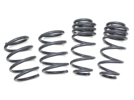 034Motorsport Dynamic+ Lowering Springs for 8S Audi TT RS