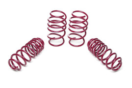 Vogtland Sport Lowering Springs 30mm - RS3 8V