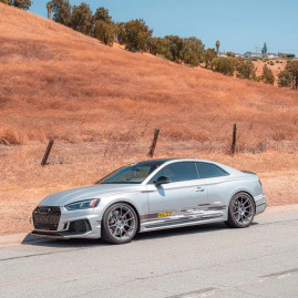 034 Motorsport - Dynamic+ Lowering Springs for B9/B9.5 Audi RS5