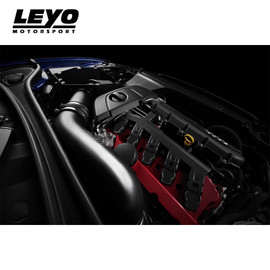 Leyo Motorsport 4" Cold Air Intake Kit - Audi RS3 8V (Pre-Facelift)