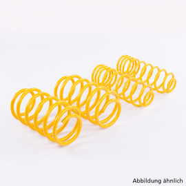 ST Suspension Lowering Springs - A5 B9 2WD
