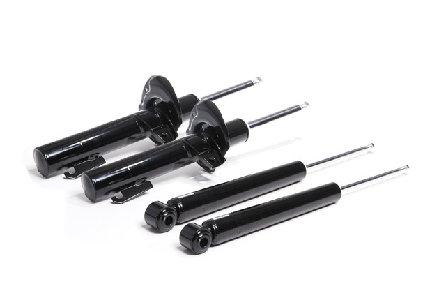 Racingline Performance Damper Kit - 55mm Front Strut Diameter - VWR30G500